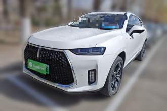 魏牌 P8 2018款 2.0T 旗舰型