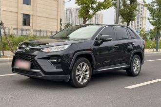 丰田 威兰达 2020款 2.0L CVT两驱豪华版