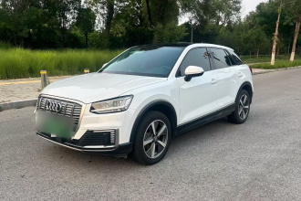 奥迪Q2L e-tron 2019款 Q2L e-tron 纯电智酷型