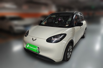五菱汽车 五菱缤果 2024款 333km 悦享款
