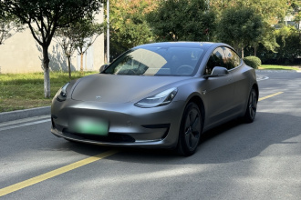 特斯拉 Model 3 2019款 标准续航后驱升级版