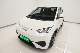 比亚迪 海鸥 2025款 智驾版 305km 活力版