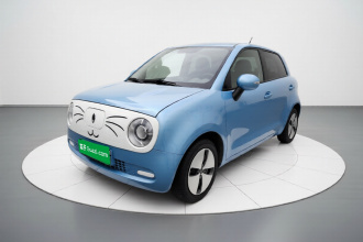 欧拉黑猫 2021款 301km 基础型