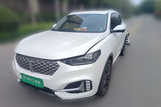 魏牌 VV6 2021款 2.0T 两驱智护+