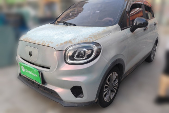 零跑汽车 零跑T03 2021款 400轻享版 磷酸铁锂
