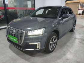 奥迪Q2L e-tron 2019款 Q2L e-tron 纯电智酷型