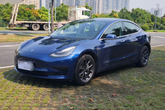 特斯拉 Model 3(进口) 2019款 标准续航后驱升级版