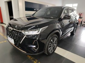 奇瑞 瑞虎8 PRO 2024款 冠军版 390T 两驱巅峰版 7座