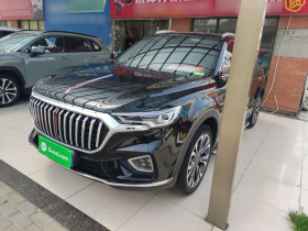 红旗HS5 2019款 2.0T 智联旗享四驱版