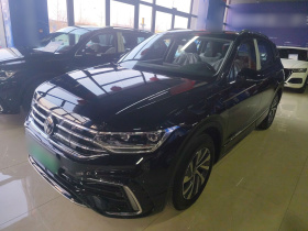 大众 途观L新能源 2023款 430PHEV 插电混动尊贵版