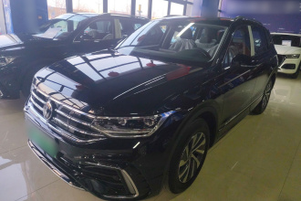 大众 途观L新能源 2023款 430PHEV 插电混动尊贵版