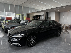 大众 迈腾 2024款 380TSI DSG至尊版