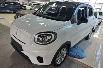 零跑汽车 零跑T03 2022款 皓玉版