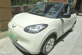 五菱汽车 五菱缤果 2023款 203km 轻享款