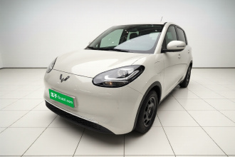 五菱汽车 五菱缤果 2023款 333km 快享款