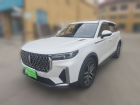 奔腾T99 2020款 20TD 自动尊贵型