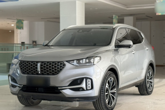 魏牌 VV6 2021款 2.0T 两驱智享+