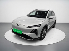 五菱汽车 五菱星光S 2024款 510km 旗舰型