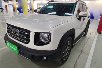 哈弗大狗 2021款 1.5T DCT两驱边牧版