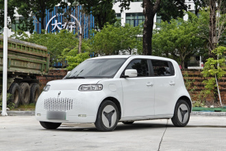 欧拉白猫 2022款 升级版 305km 舒享型 三元锂