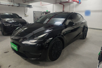 特斯拉 Model Y 2021款 Performance高性能全轮驱动版