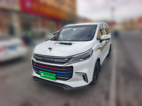 上汽大通MAXUS 大通G50 2023款 1.5T 手动畅游A