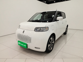 欧拉白猫 2022款 升级版 305km 豪华型 三元锂