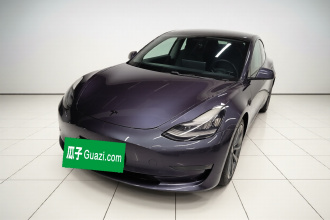 特斯拉 Model 3(进口) 2019款 长续航后驱版