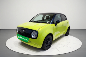 欧拉黑猫 2019款 301km 标准版