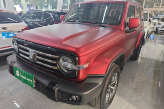 坦克300 2024款 2.0T 穿越者