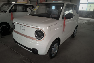 吉利银河 2024款 熊猫mini 200km 耐力熊