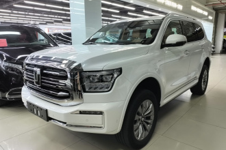 坦克500新能源 2024款 Hi4-T