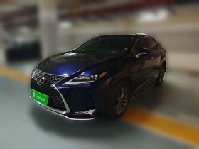 雷克萨斯RX 2020款 改款 300 两驱精英版