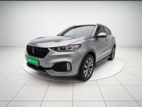 魏牌 VV6 2019款 2.0T 两驱超豪型 国VI