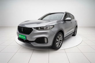 魏牌 VV6 2019款 2.0T 两驱超豪型 国VI