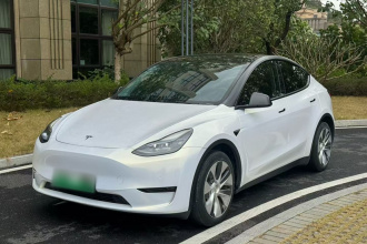 特斯拉 Model Y 2021款 标准续航后驱版