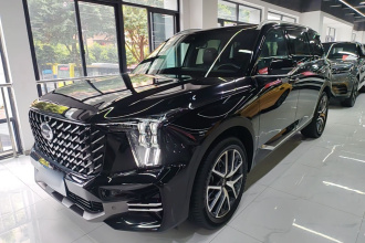 广汽传祺 传祺GS8 2022款 领航系列 2.0TGDI 两驱豪华智联版（七座）