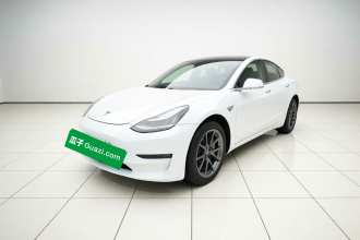 特斯拉 Model 3(进口) 2019款 长续航后驱版