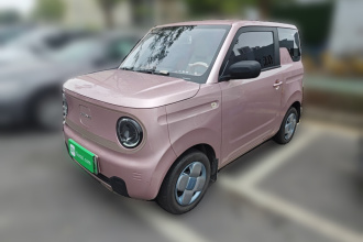 吉利银河 2023款 熊猫mini 200km 耐力熊