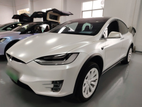 特斯拉 Model X 2019款 长续航版