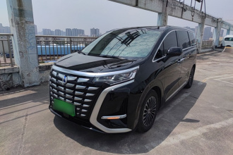 腾势D9 2024款 DM-i 1050 尊享型