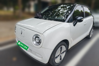 欧拉黑猫 2021款 301km 基础型
