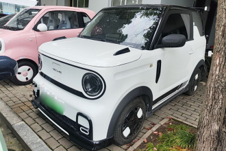 吉利银河 2024款 200km 熊猫卡丁