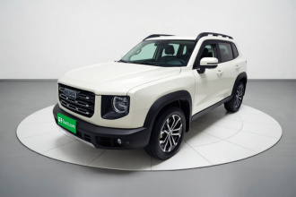 哈弗大狗 2021款 1.5T DCT两驱边牧版