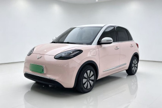 五菱汽车 五菱缤果 2024款 333km 悦享款