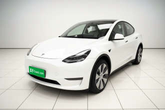 特斯拉 Model Y 2021款 标准续航后驱版