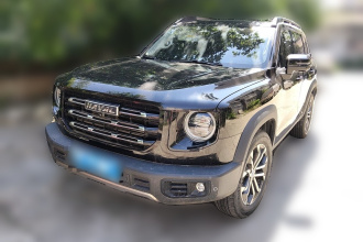 哈弗大狗 2021款 1.5T DCT两驱边牧版