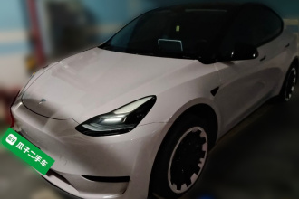 特斯拉 Model Y 2021款 标准续航后驱版