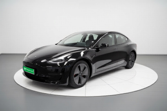 特斯拉 Model 3 2020款 标准续航后驱升级版