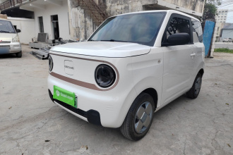 吉利银河 2024款 熊猫mini 200km 耐力熊